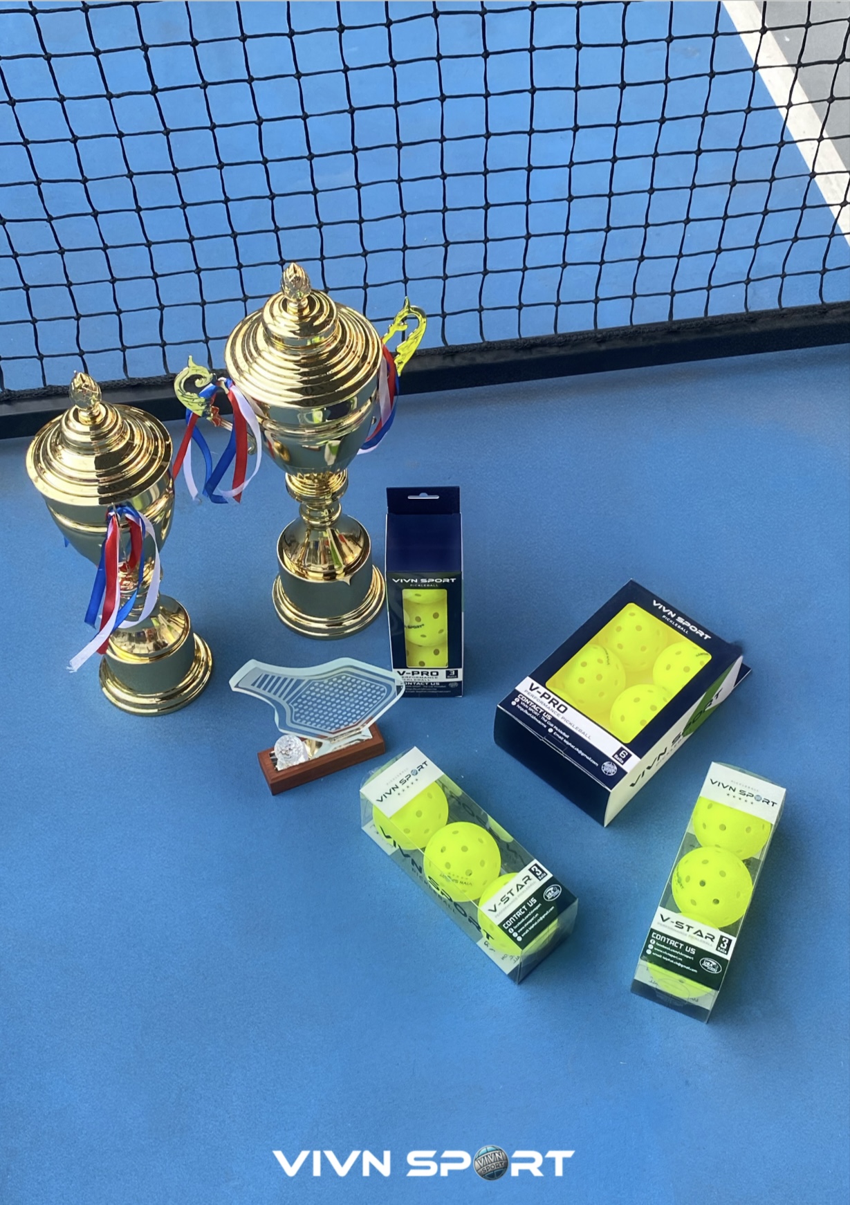 Cúp thi đấu Pickleball VIVN
